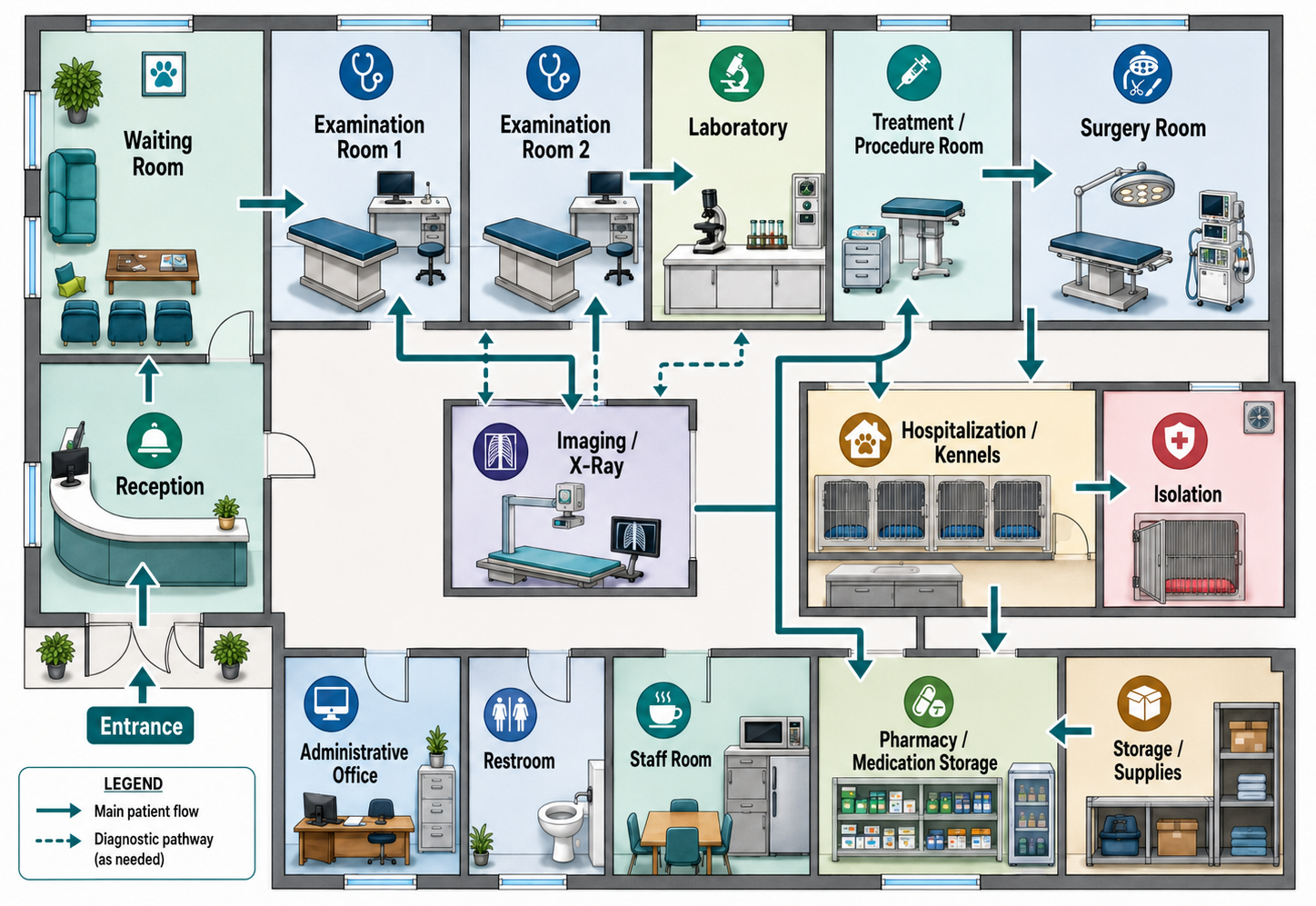 How to Organize a Veterinary Clinic for Better Workflow, Safety, and Patient Care