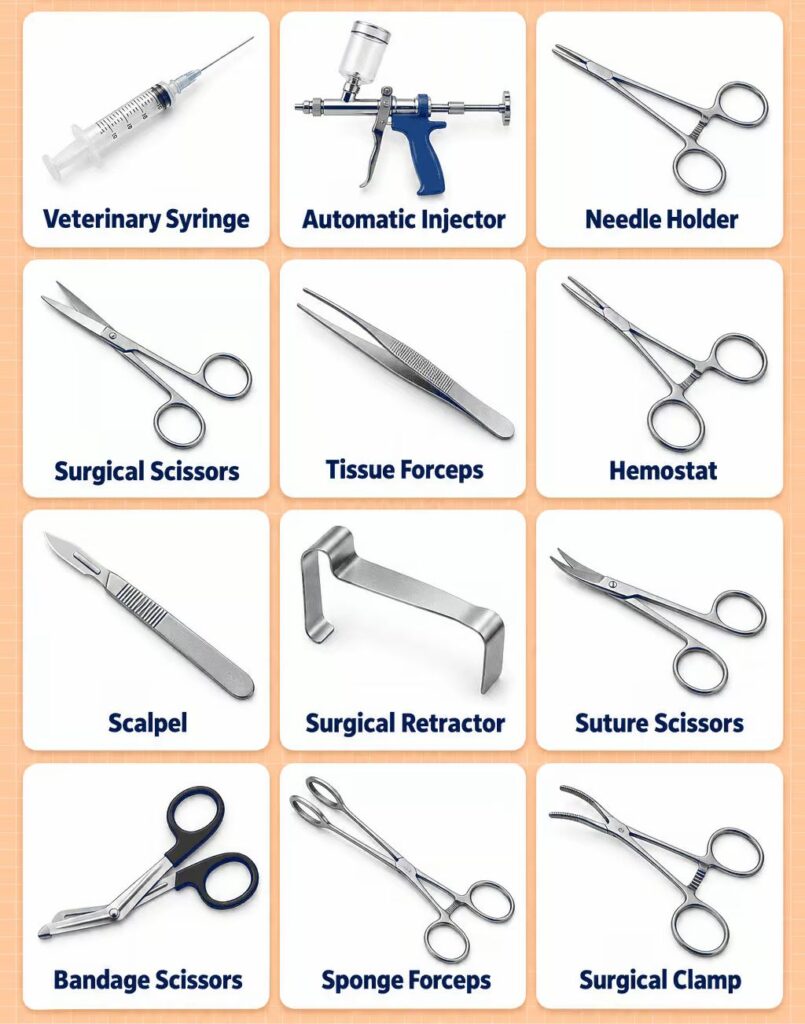Best Veterinary Examination Equipment: Recommended Brands, Prices, and How Much Your Clinic Really Needs