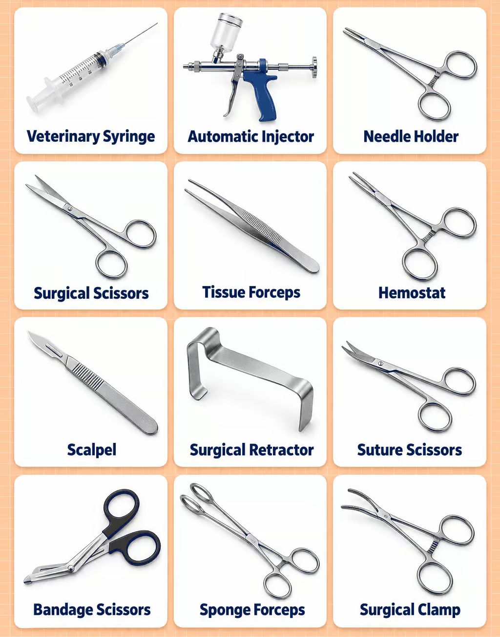 Best Veterinary Examination Equipment: Recommended Brands, Prices, and How Much Your Clinic Really Needs